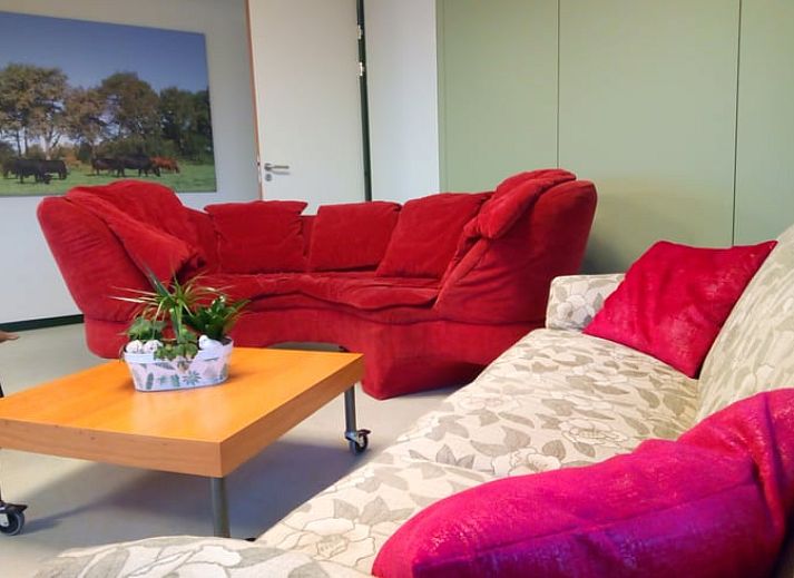 Natuurlijke kunst in Vakantiehuis in Erp, Noord Brabant, groene wanddecoratie.