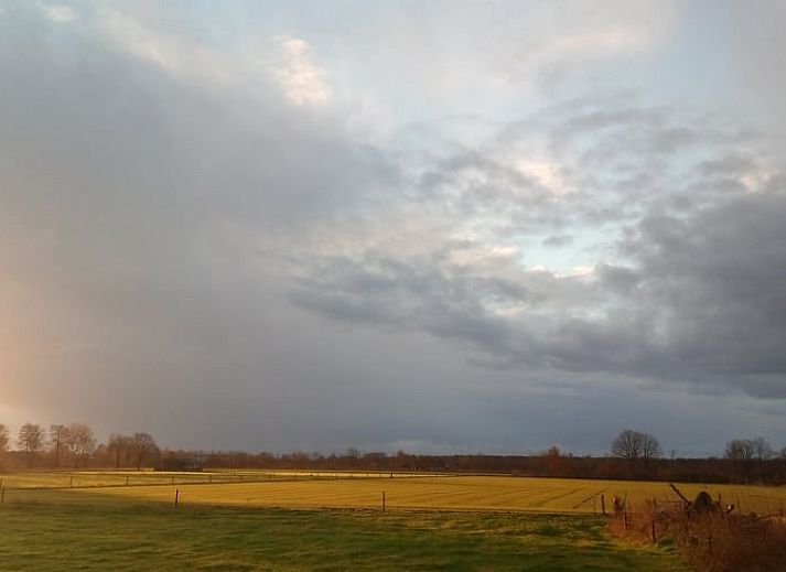 Comfortabele slaapkamer in Vakantiehuis in Erp, Noord Brabant, met geel beddengoed.