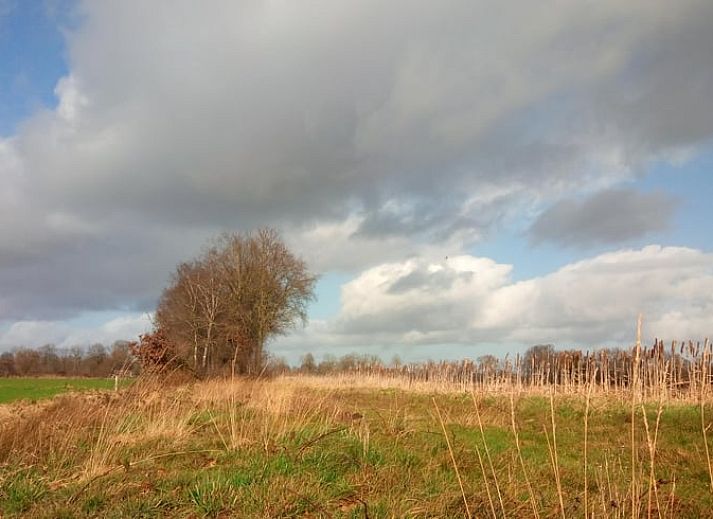 Comfortabele slaapkamer in Vakantiehuis in Erp, Noord Brabant, met geel beddengoed.