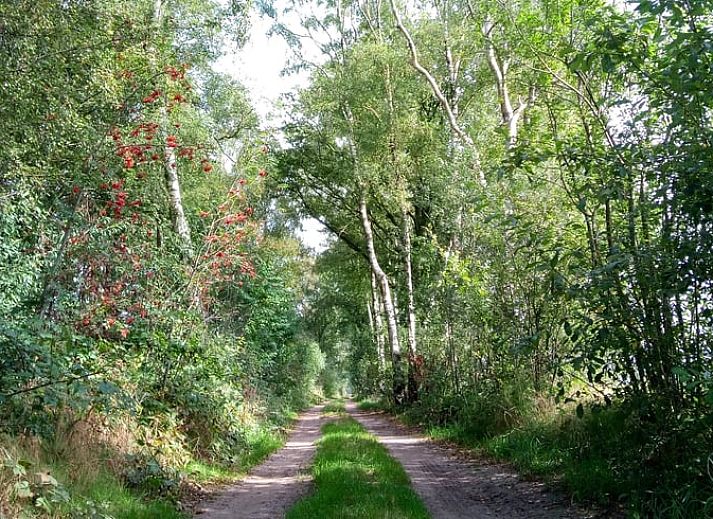 Slaapkamer met uitzicht in Vakantiehuis in Erp, Noord Brabant, en toegang tot terras.