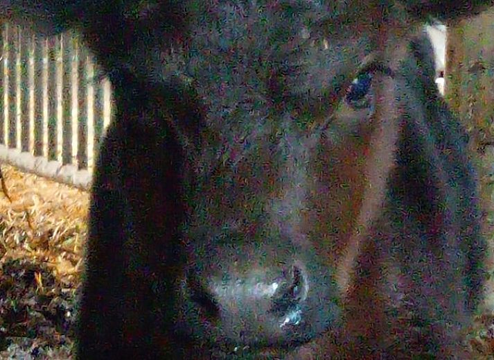 Comfortable bedroom in Holiday Home in Erp, North Brabant with modern decor and natural light.