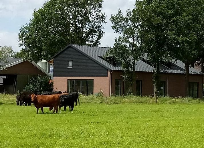 Unterkunft 433716 - Ferienhaus Noordoost Brabant - Vakantiehuis in Erp
