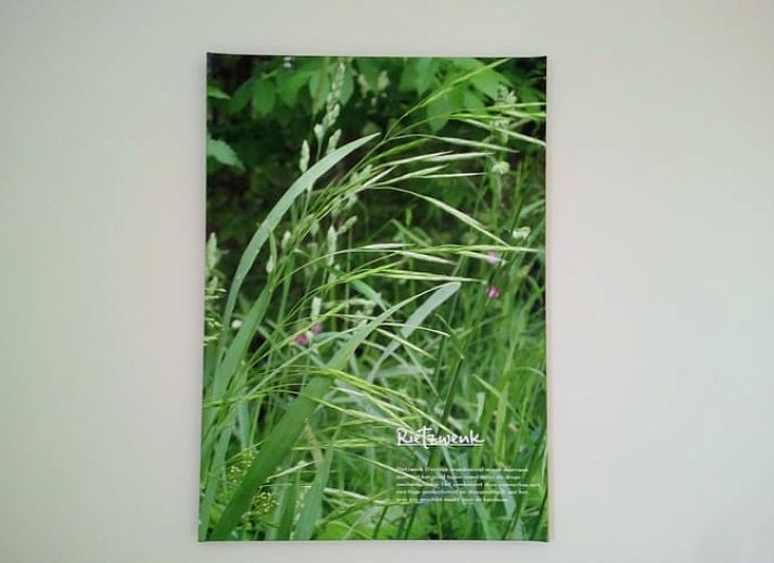 Unterkunft 433716 - Ferienhaus Noordoost Brabant - Vakantiehuis in Erp