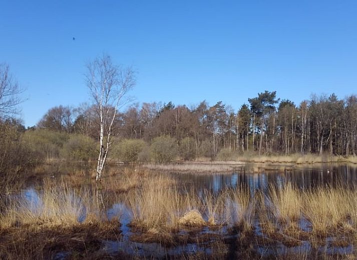 Unterkunft 433716 - Ferienhaus Noordoost Brabant - Vakantiehuis in Erp