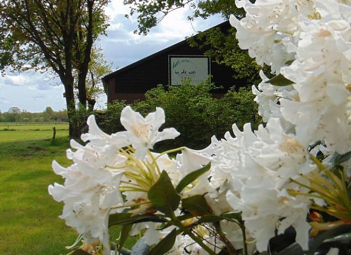 Unterkunft 433718 • Ferienhaus Noordoost Brabant • Vakantiehuis in Erp 