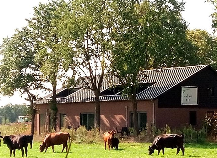 Vakantiehuisje in Erp omgeven door bloeiende natuur in Noordoost Brabant, ideaal voor een ontspannen verblijf in Noord Brabant.