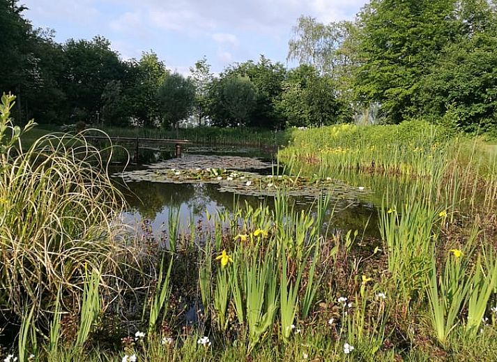 Guest house 433728 - Holiday property Noordoost Brabant - Vakantiehuisje in Erp