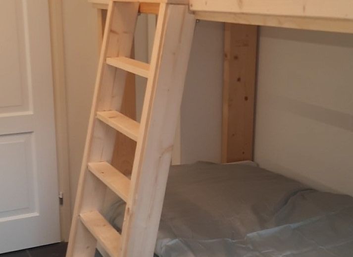 Achtertuin van vakantiehuis Grove Den in Sint-Oedenrode, Noord Brabant, met uitzicht op het grasveld en bomen.