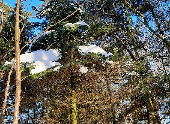 Rustieke picknicktafel in de tuin van Grove Den in Sint-Oedenrode, Noord Brabant, met natuurlijke omgeving.