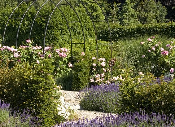 Guest house 433905 - Holiday property Noordoost Brabant - Vakantiehuisje in Haps