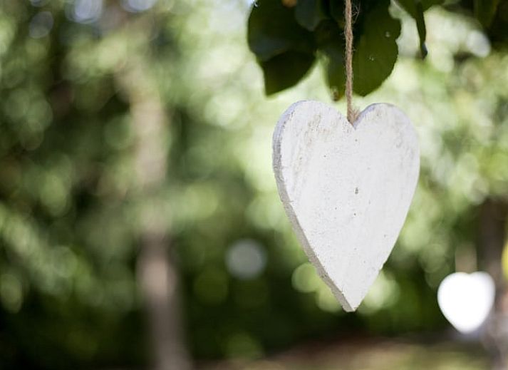 Guest house 433905 - Holiday property Noordoost Brabant - Vakantiehuisje in Haps