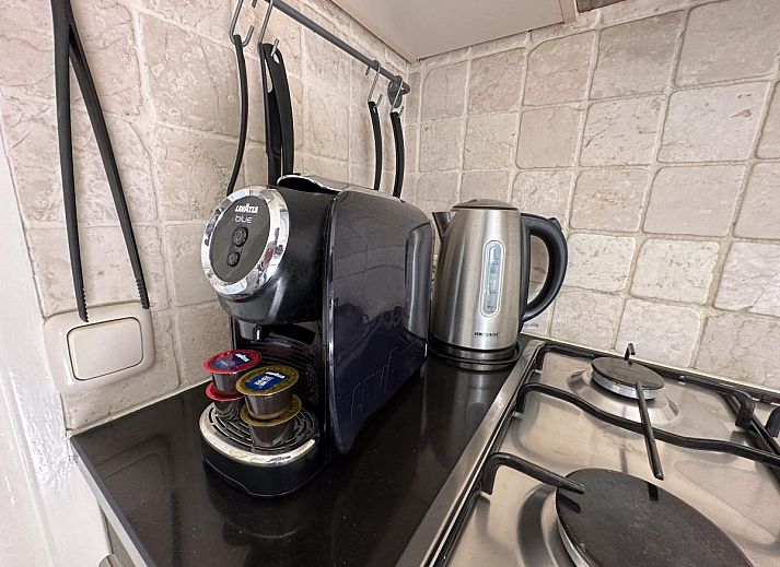 Alpacafarm Vorstenbosch vacation home with alpacas in the garden, located in picturesque northeastern Brabant.