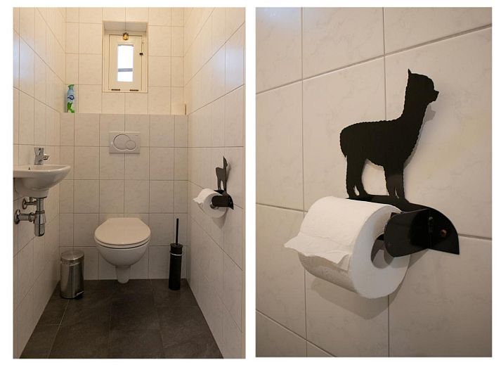 Modern living room of Alpacafarm Vorstenbosch vacation home in Vorstenbosch, North Brabant with lots of light.