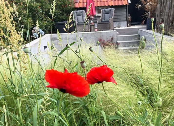 Geniessen Sie die Sauna im Holiday home in Vorstenbosch, Nordbrabant.