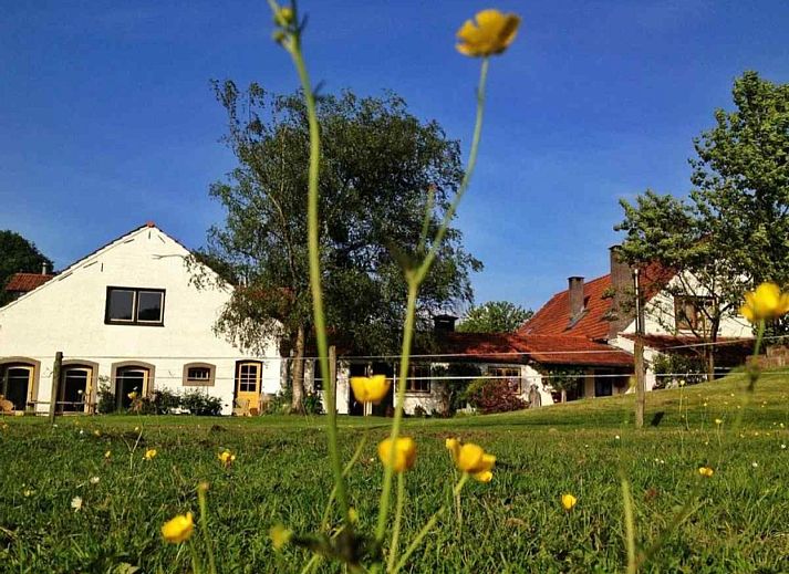 Guest house 434921 - Holiday property Noordoost Brabant - BRA102