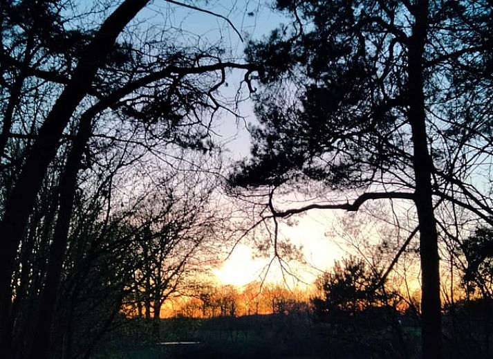 Vacation home in Sint-Oedenrode, glamping lodge surrounded by nature in northeast Brabant.