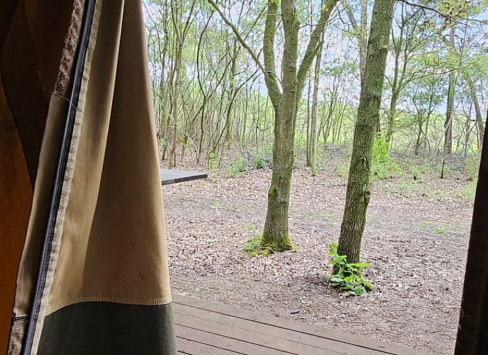 Vacation home in Sint-Oedenrode, glamping lodge surrounded by nature in northeast Brabant.