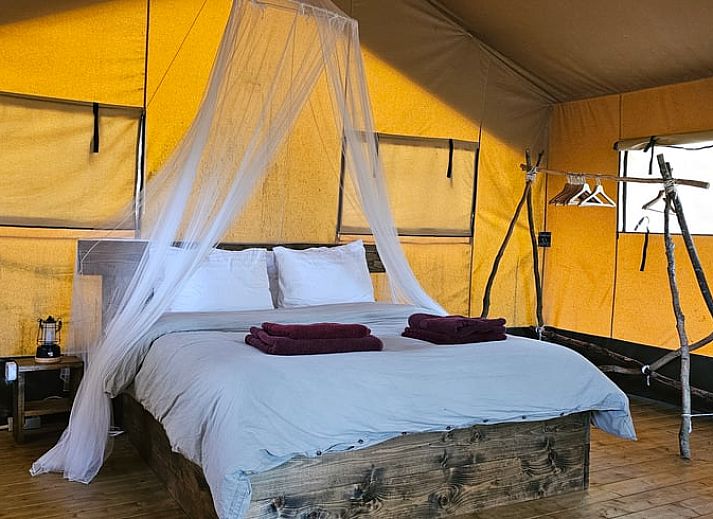 Vacation home in Sint-Oedenrode, glamping lodge surrounded by nature in northeast Brabant.