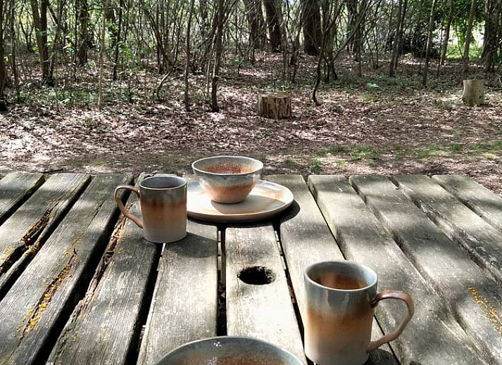 Breathtaking sunset at Holiday home in Sint-Oedenrode, North Brabant.