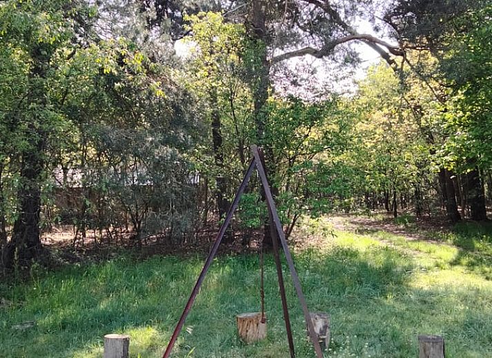View from the tent of Holiday home in Sint-Oedenrode, surrounded by trees.