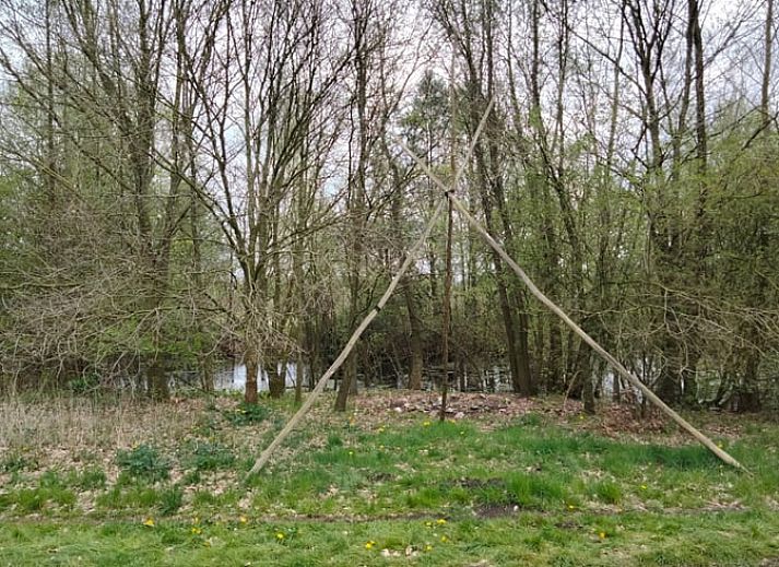 View from the tent of Holiday home in Sint-Oedenrode, surrounded by trees.