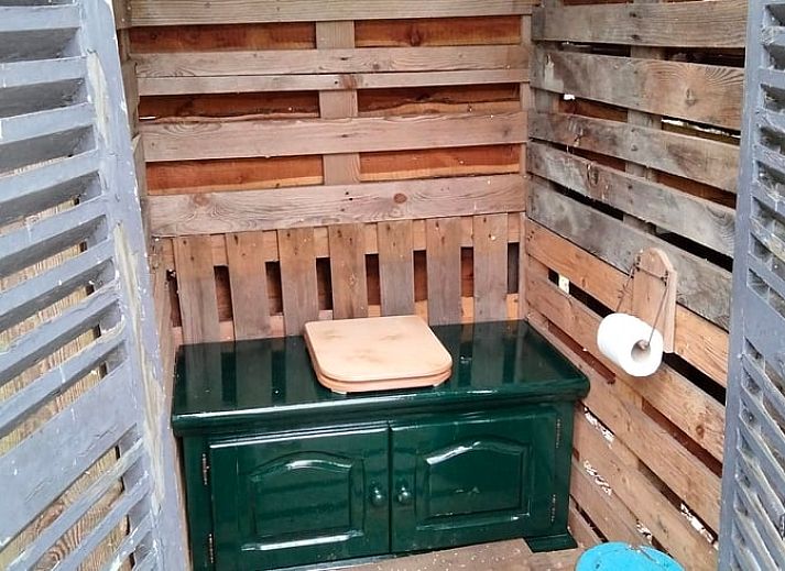 View from the tent of Holiday home in Sint-Oedenrode, surrounded by trees.