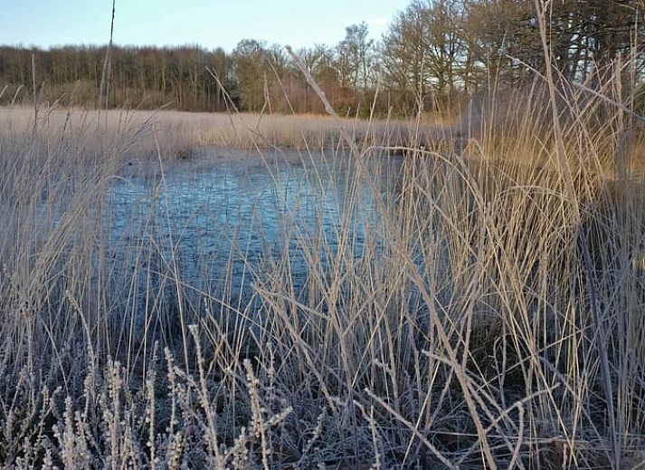 Comfortable bedroom in the vacation home in Sint-Oedenrode, Northeast Brabant.