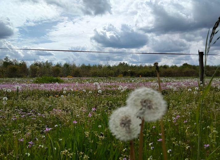 Comfortable bedroom in the vacation home in Sint-Oedenrode, Northeast Brabant.