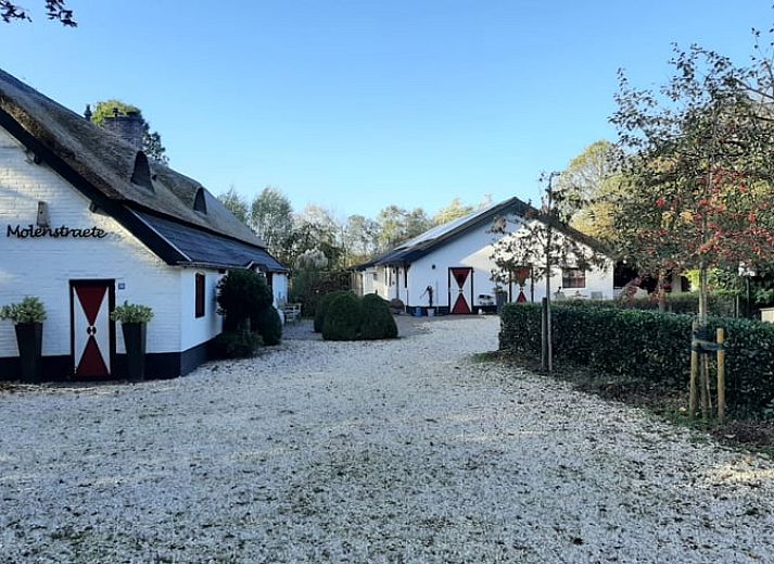 Vakantiehuisje in Sint-Oedenrode, Noordoost Brabant, biedt een charmante buitenruimte met landelijke omgeving en rustieke architectuur.