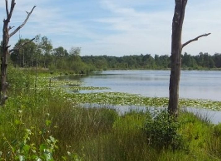 Gezellige woonkamer in Vakantiehuisje in Sint-Oedenrode, Noordoost Brabant, met comfortabele zithoek en sfeervolle decoraties.