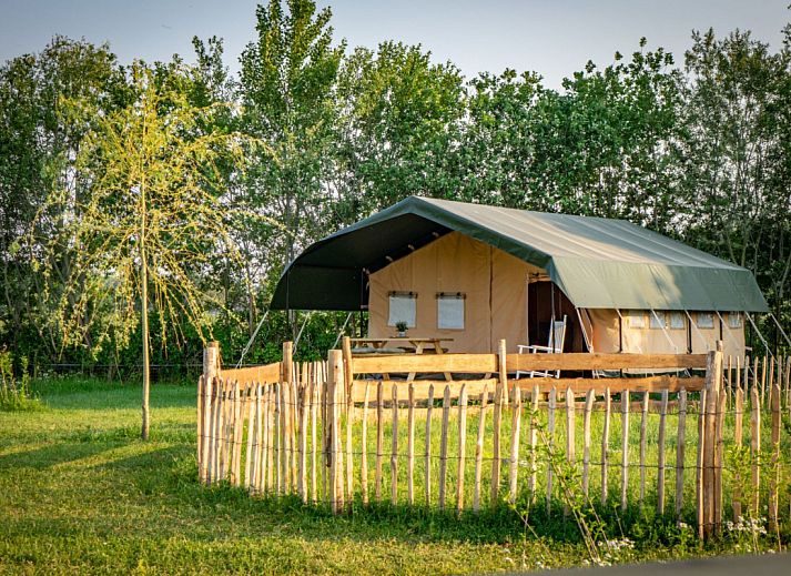 Verblijf 435013 • Tenthuis Noordoost Brabant • Hoeve Klein Haneveld - safaritent