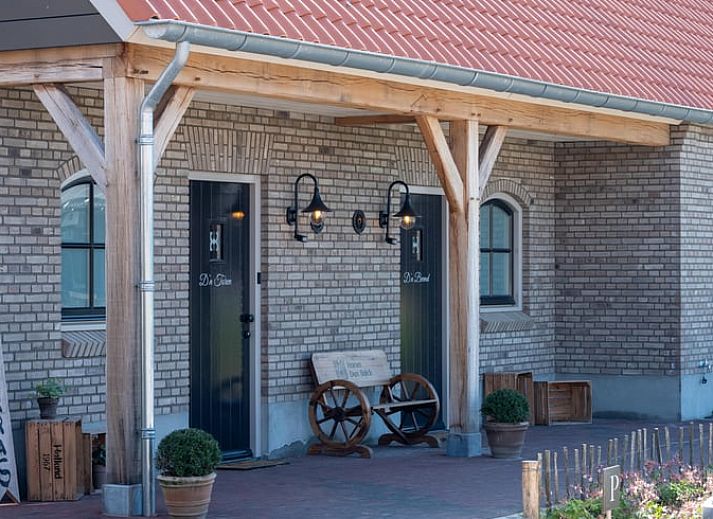 Ontdek de serene natuur rondom Vakantiehuis in Sint-Oedenrode, Noordoost Brabant, met schilderachtige wandelpaden en weelderige begroeiing.