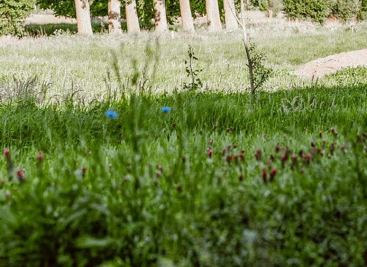 Charmante entree van Vakantiehuis in Sint-Oedenrode, Noordoost Brabant, met landelijke veranda en authentieke sfeer.
