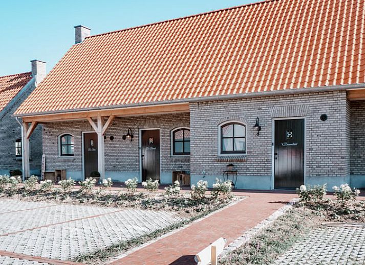 Gezellige binnenruimte van Vakantiehuis in Sint-Oedenrode, Noordoost Brabant, met uitzicht op de natuur vanuit de woonkamer.