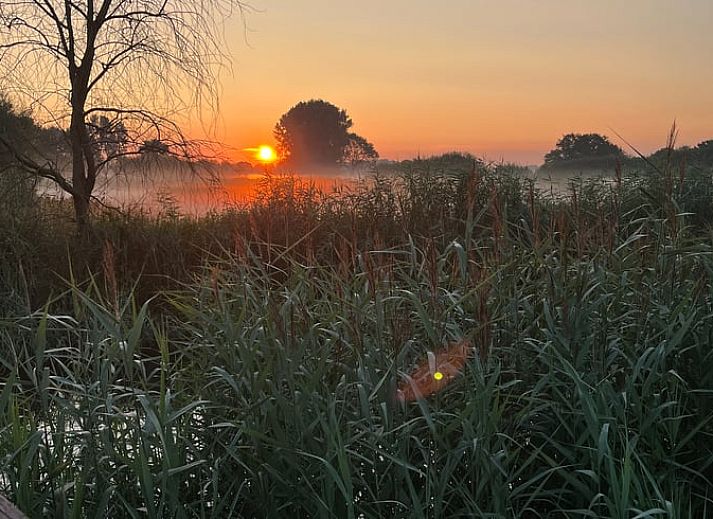 Uitzicht op groene velden vanuit Vakantiehuis in Sint-Oedenrode, Noordoost Brabant. Geniet van rust en natuur vanuit deze vakantiewoning.