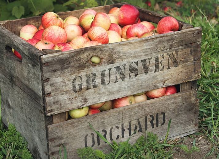 Guest house 435304 - Holiday property Noordoost Brabant - Vakantiehuisje in Huisseling