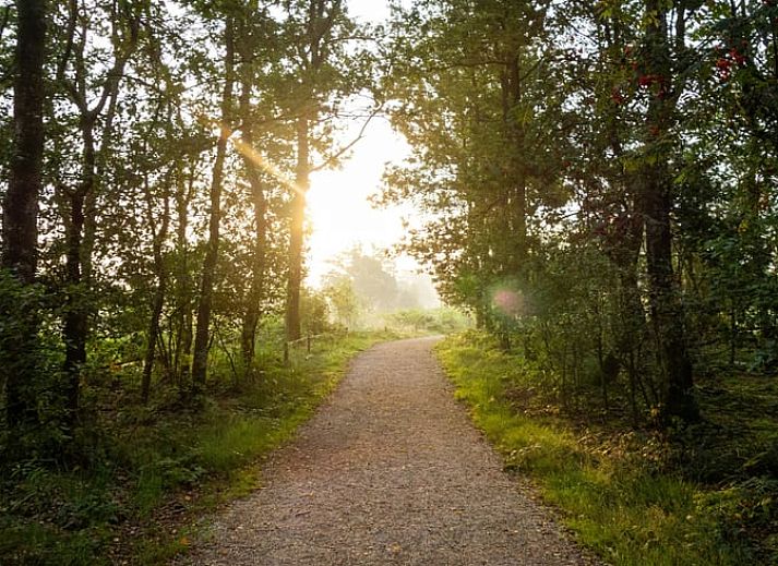 Guest house 435304 - Holiday property Noordoost Brabant - Vakantiehuisje in Huisseling