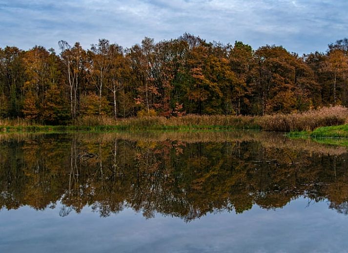 Guest house 435304 - Holiday property Noordoost Brabant - Vakantiehuisje in Huisseling