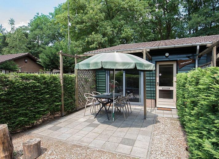 Verblijf 436023 - Vakantiewoning Noordoost Brabant - Het Bosnest