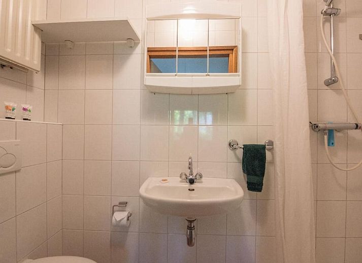 Verblijf 436024 - Vakantiewoning Noordoost Brabant - De Wielewaal