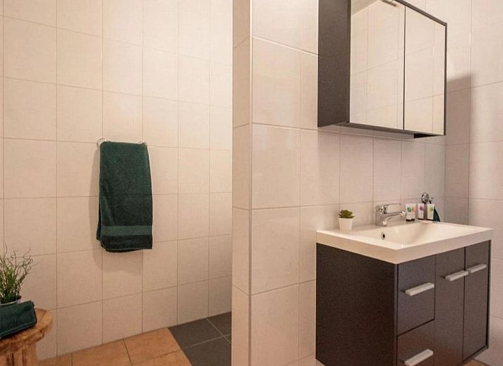 Verblijf 436029 - Vakantiewoning Noordoost Brabant - Het Heidenest