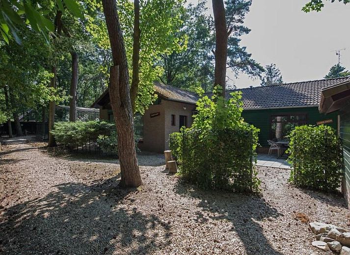 Verblijf 436031 - Vakantiewoning Noordoost Brabant - De Rode Ibis