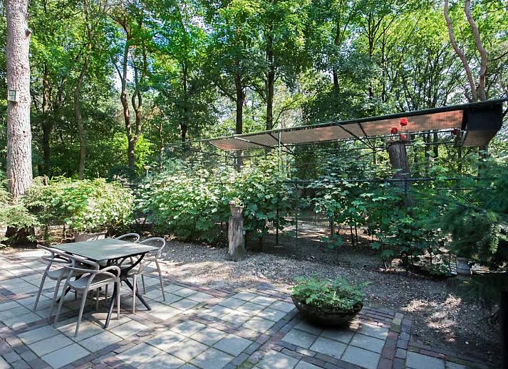 Verblijf 436031 - Vakantiewoning Noordoost Brabant - De Rode Ibis