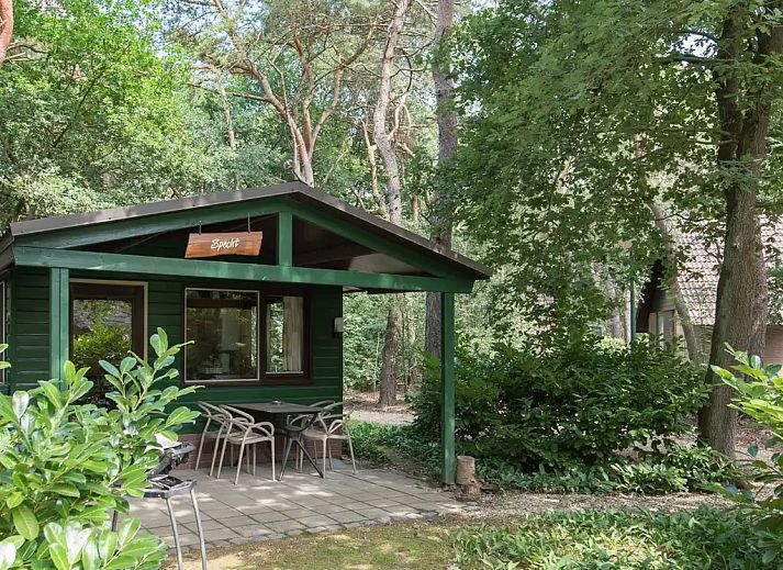 Guest house 436033 - Bungalow Noordoost Brabant - Specht