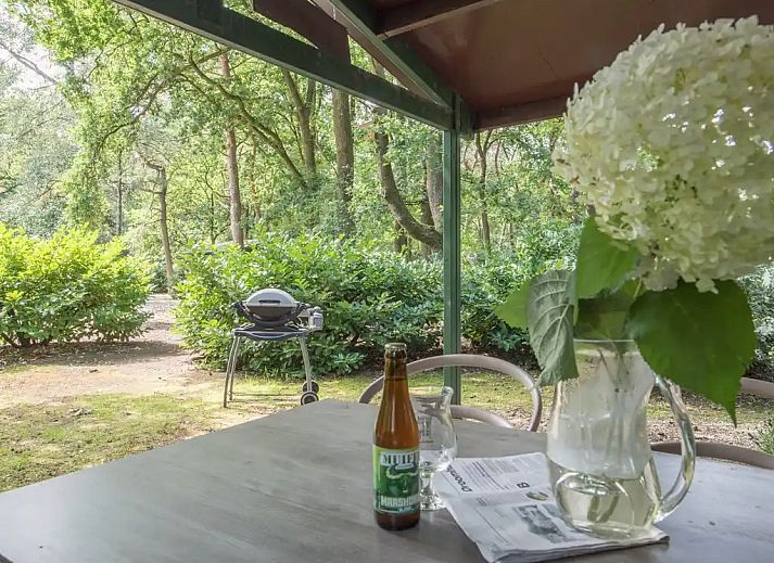 Guest house 436033 - Bungalow Noordoost Brabant - Specht