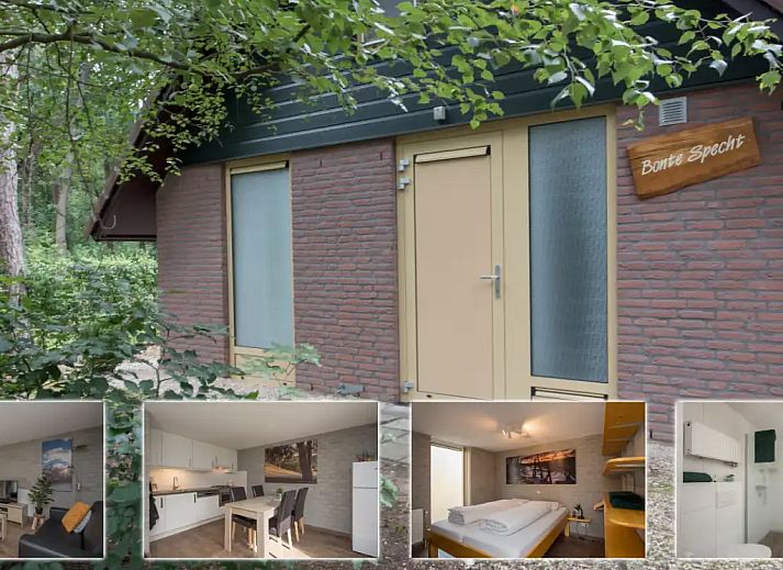 Guest house 436034 - Bungalow Noordoost Brabant - Bonte Specht