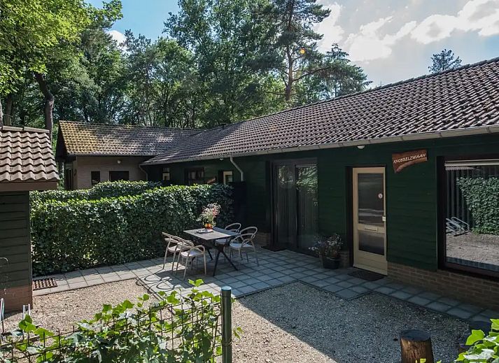 Guest house 436035 - Bungalow Noordoost Brabant - Knobbelzwaan