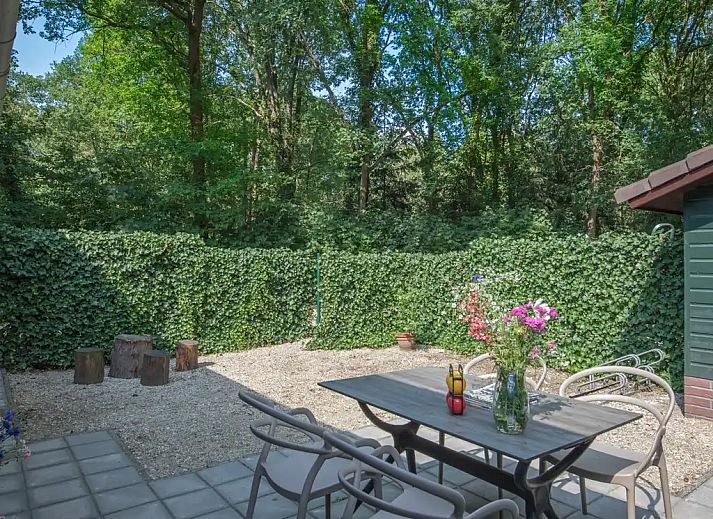 Guest house 436035 - Bungalow Noordoost Brabant - Knobbelzwaan