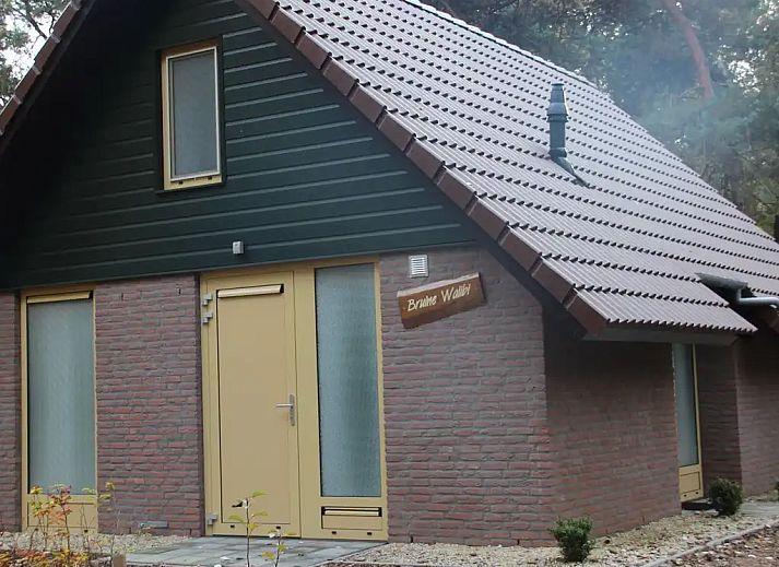 Unterkunft 436036 - Bungalow Noordoost Brabant - Bruine Walibi