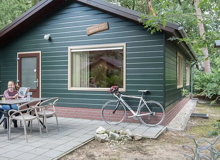 Unterkunft 436038 - Bungalow Noordoost Brabant - Goudooggans